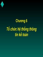 Tổ chức hệ thống thông tin kế toán docx