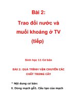 Bài 2: Trao đổi nước và muối khoáng ở TV (tiếp) ppt