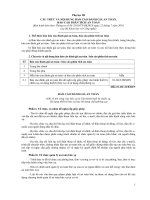 Phụ lục III CẤU TRÚC VÀ NỘI DUNG BÁO CÁO ĐÁNH GIÁ AN TOÀN, BÁO CÁO PHÂN TÍCH AN TOÀN doc
