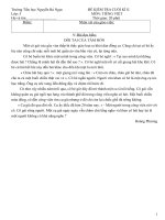 de thi hoc ki 2 lop 5