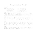 ĐỀ THI HỌC SINH GIỎI LỚP 4 CẤP HUYỆN (II)