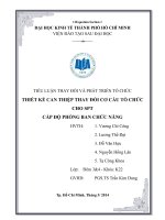 TIỂU LUẬN THAY ĐỔI VÀ PHÁT TRIỂN TỔ CHỨC THIẾT KẾ CAN THIỆP THAY ĐỔI CƠ CẤU TỔ CHỨC CHO SPT CẤP ĐỘ PHÒNG BAN CHỨC NĂNG