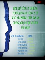 ĐỊNH GIÁ CÔNG TY CP HÙNG VƯƠNG (HVG) VÀ CÔNG TY CP XUẤT NHẬP KHẨU THỦY SẢN AN GIANG (AGF) SAU QUÁ TRÌNH SÁP NHẬP