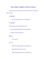 PHÁC ĐỒ ĐIỀU TRỊ BỆNH CƯỜNG GIÁP TRẠNG pptx