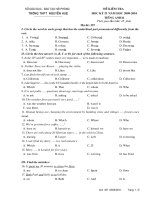 DE TIENG ANH 11(HK2 2009-2010)NH