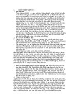 Trung Tâm Bồi dưỡng Văn hóa ALPHA