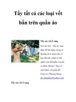 Tẩy tất cả các loại vết bẩn trên quần áo pdf