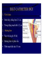 Bài giảng đường truyền tĩnh mạch trung tâm (Phần 3) pptx