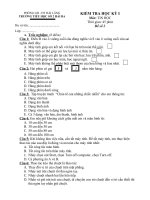 ĐỀ KIỂM TRA HỌC KỲ I MÔN TIN HỌC (Đề số 2)