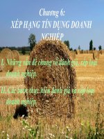 XẾP HẠNG TÍN DỤNG DOANH NGHIỆP pot