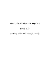 THỰC HÀNH CHÂM CỨU TRỊ LIỆU - LƯNG ĐAU pdf
