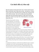 Các thuốc điều trị viêm ruột pdf