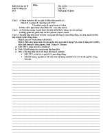 đề ktra tự luận  HK II- lớp 11 nâng cao