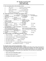 Đề luyện thi vào lớp 10 English