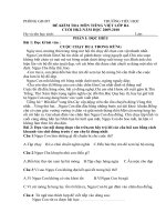 ĐỀ KIỂM TRA MÔN TIẾNG VỆT CUỐI KH2-L3