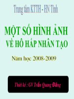 MỘT SỐ HÌNH ẢNH VỀ HÔ HẤP NHÂN TẠO pot