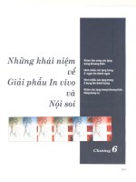 Những khái niệm về giải phẫu In vivo và nội soi (Phần 1) pptx
