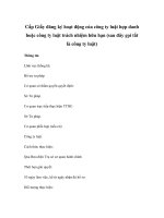 Cấp Giấy đăng ký hoạt động của công ty luật hợp danh hoặc công ty luật trách nhiệm hữu hạn (sau đây gọi tắt là công ty luật) pps