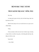 BỆNH HỌC THỰC HÀNH - THẦN KINH THỊ GIÁC VIÊM, TEO pdf