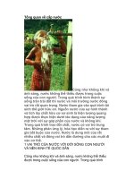 Tổng quan về cấp nước pps