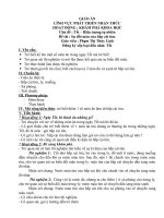 SỰ ĐỔI MÀU CỦA BẮP CẢI TÍM