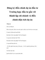 Đăng ký điều chỉnh dự án đầu tư Trường hợp: đầu tư gắn với thành lập chi nhánh và điều chỉnh diện tích dự án pdf