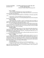 HSG Vĩnh Phúc 06-07