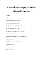 Hợp nhất các công ty TNHH hai thành viên trở lên ppt