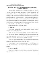 đánh giá đổi mới PP năm học 09-2010