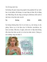 Ẩn số trong nước hoa pot