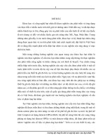 tóm tắt luận văn thạc sĩ vật lý cường độ chuyển dời và mật độ mức của hạt nhân 52v