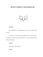 HUYỆT VỊ ĐÔNG Y BẠCH HOÀN DU ppt