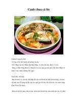 Canh chua cá lóc pps