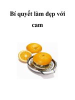 Bí quyết làm đẹp với cam pps