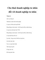 Cho thuê doanh nghiệp tư nhân đối với doanh nghiệp tư nhân pps