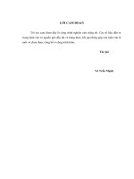 Nâng cao chất lượng dịch vụ công nghệ thông tin tại khối công nghệ thông tin tập đoàn bảo việt