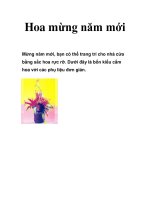 Hoa mừng năm mới pot