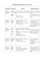 giáo án chương trình Bah nar( Họa Mi)