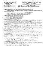 Đề thi học sinh giỏi Tiếng Việt 5