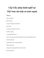 Cấp Giấy phép hành nghề tại Việt Nam cho luật sư nước ngoài doc