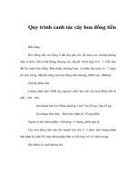 Quy trình canh tác cây hoa đồng tiền docx