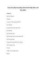 Cấp Giấy phép hoạt động kinh doanh nhập khẩu xuất bản phẩm ppt