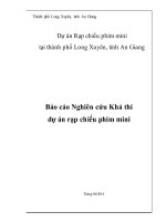Tiểu luận Thiết lập và thẩm định dự án đầu tư: Dự án Rạp chiếu phim mini tại thành phố Long Xuyên, tỉnh An Giang