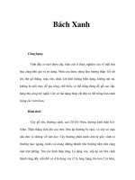 Bách Xanh pdf