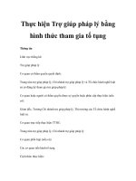 Thực hiện Trợ giúp pháp lý bằng hình thức tham gia tố tụng ppsx