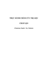 THỰC HÀNH CHÂM CỨU TRỊ LIỆU - CHẮP LẸO pps
