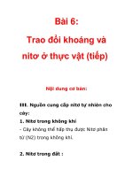 Bài 6: Trao đổi khoáng và nitơ ở thực vật (tiếp) ppt