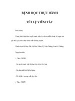 BỆNH HỌC THỰC HÀNH - TÚI LỆ VIÊM TẮC pdf