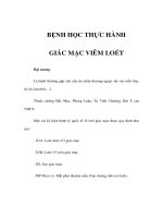 BỆNH HỌC THỰC HÀNH - GIÁC MẠC VIÊM LOÉT potx