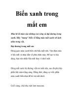 Biển xanh trong mắt em docx